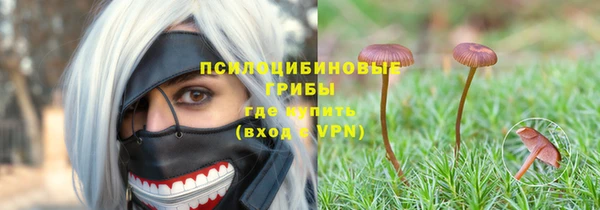 прущая мука Алексин