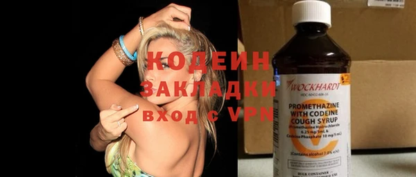 шишки Нея