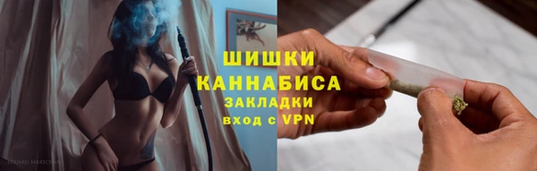 первитин Новодвинск