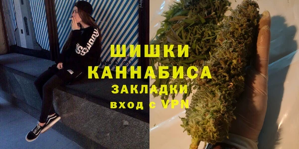 шишки Нея