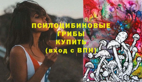 соль ск Нефтекумск