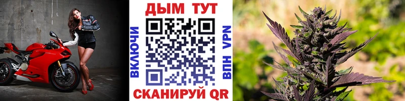 Шишки марихуана MAZAR  Поронайск 